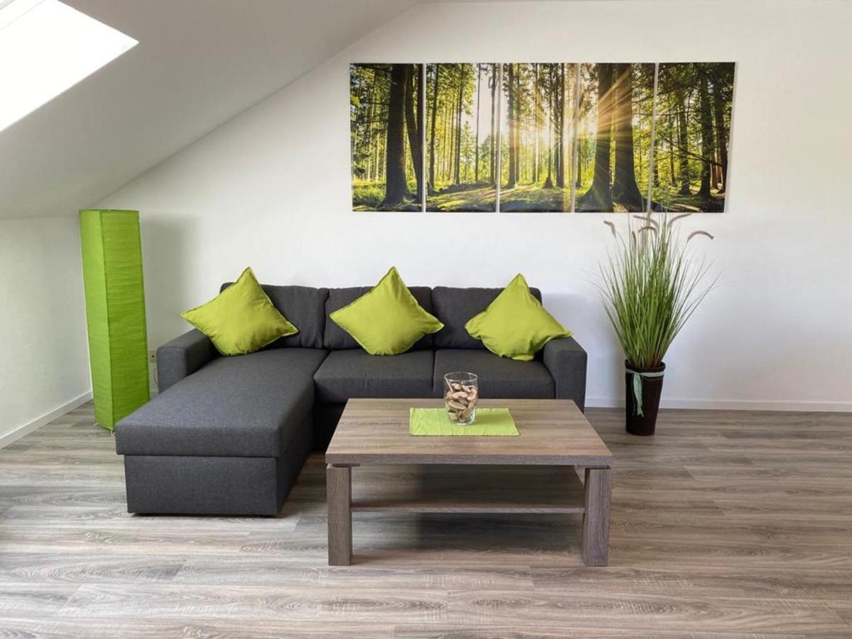 Ferienwohnung Frieda Mit Ueberdachtem Balkon Winterberg Dış mekan fotoğraf